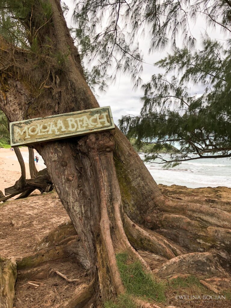 Moloa'a Beach