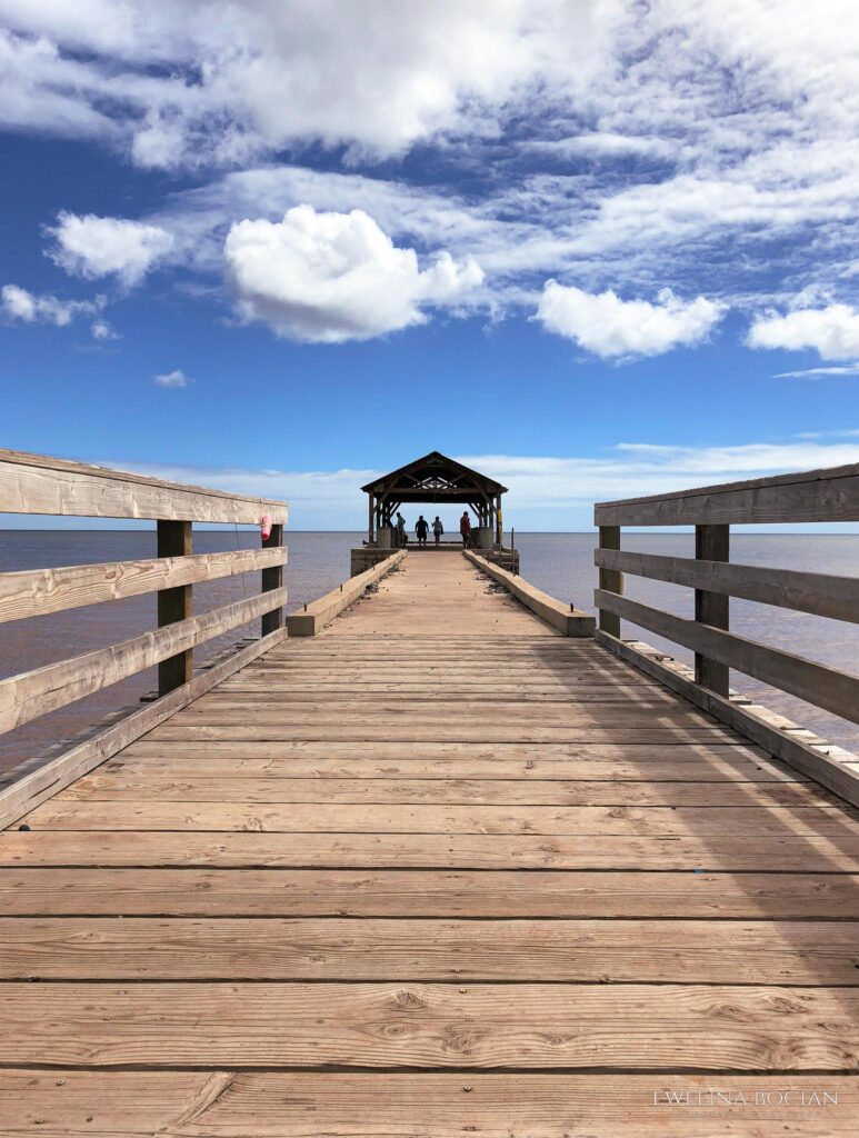 Waimea State Recreation Park