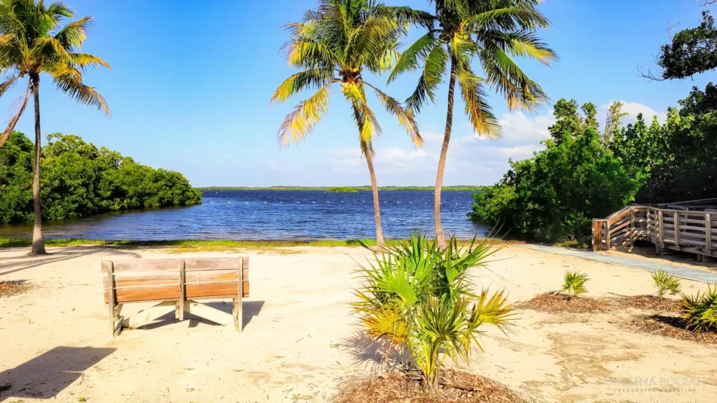 Key West Miami i plaża, palmy, ławka, chillout