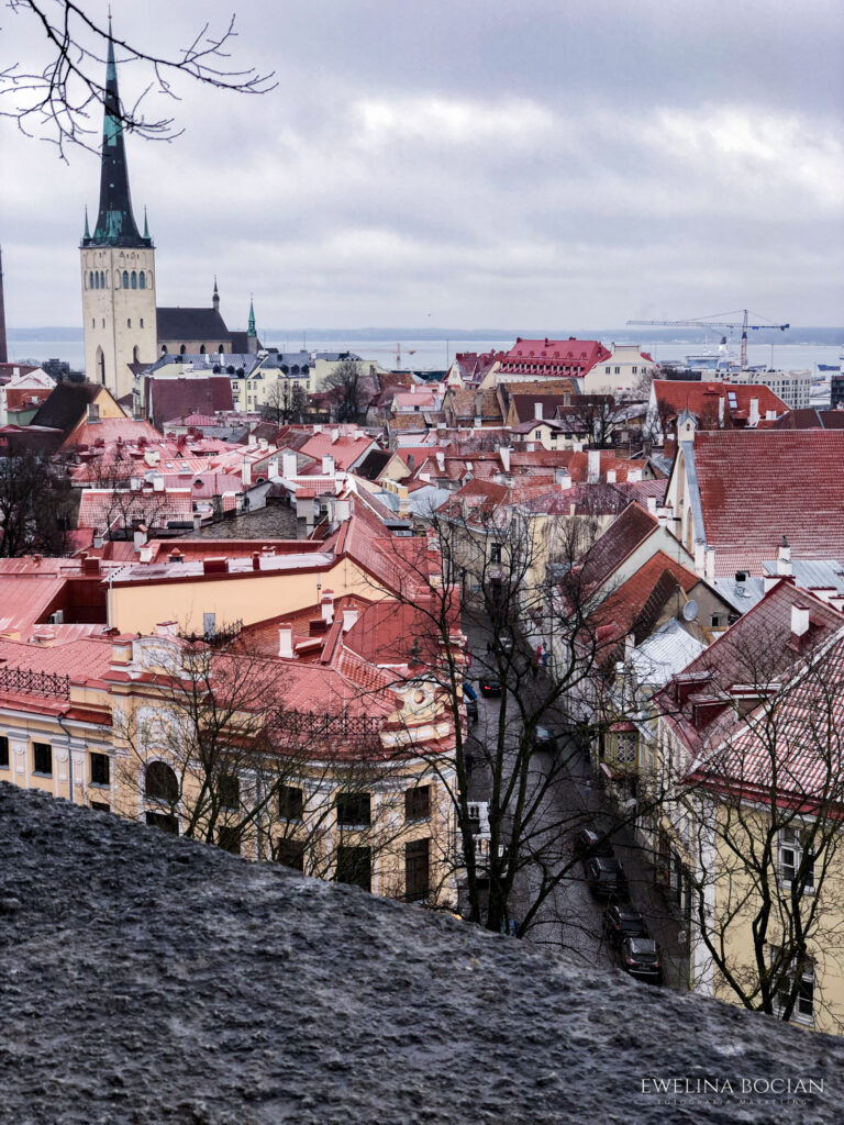 View of the capital Tallinn