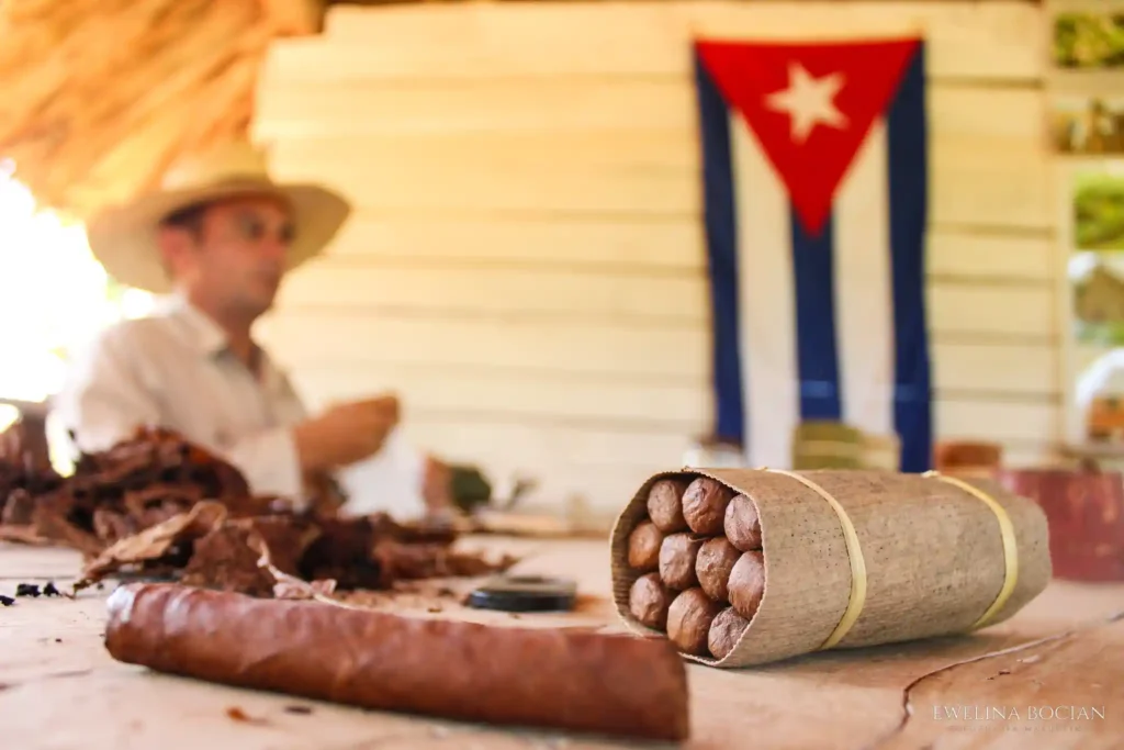 Viñales kuba, cygara