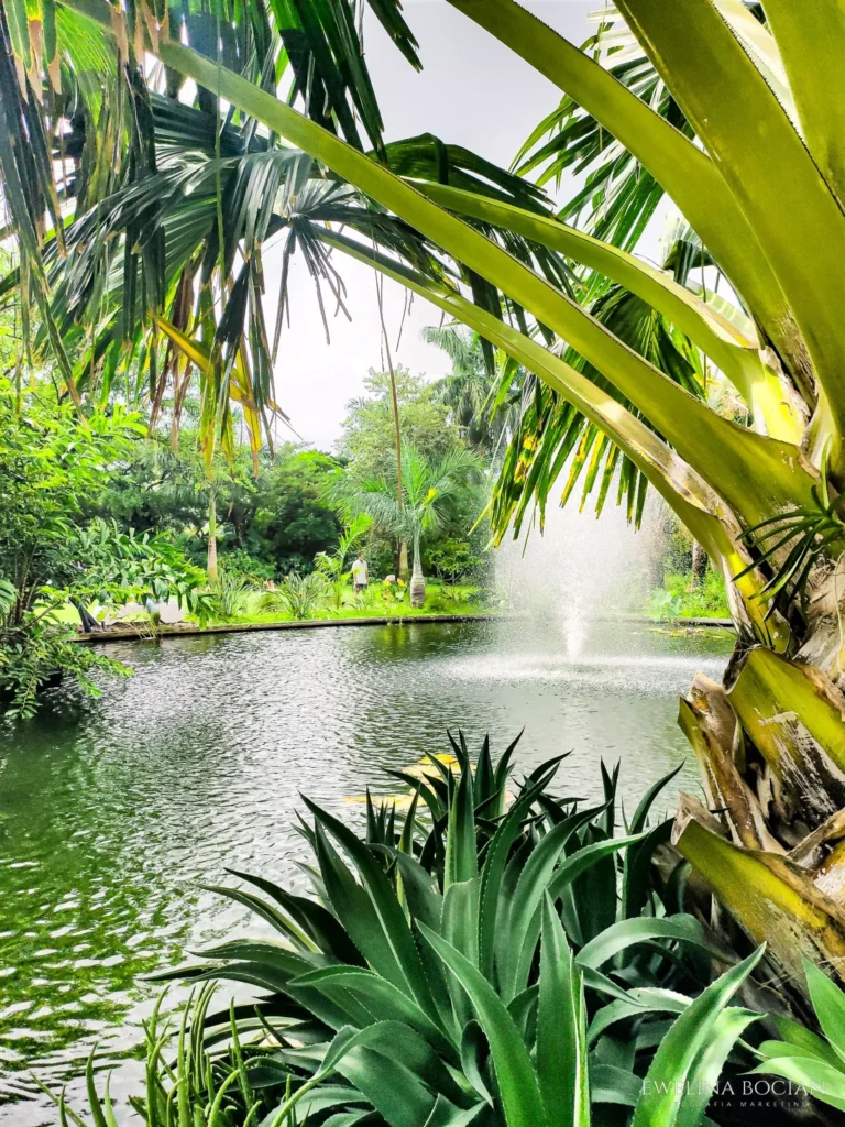 Miami Beach Botanical Garden