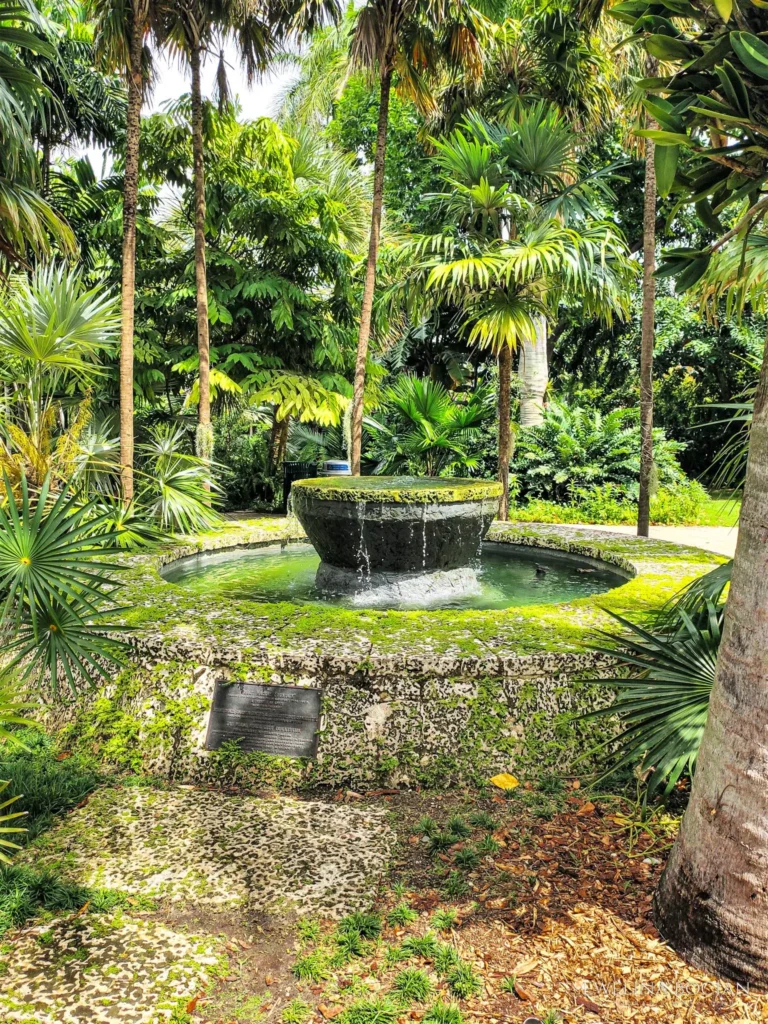 Miami Beach Botanical Garden